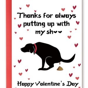 YiKaLus Naughty Valentines Day Card to Dog Mom Dad, Funny Puppy Valentine’s Day Gift Ideas, Happy Vday Greeting Card for Friends